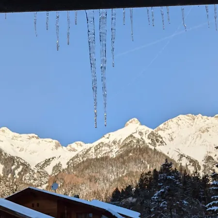 Appartement Haus Walch *