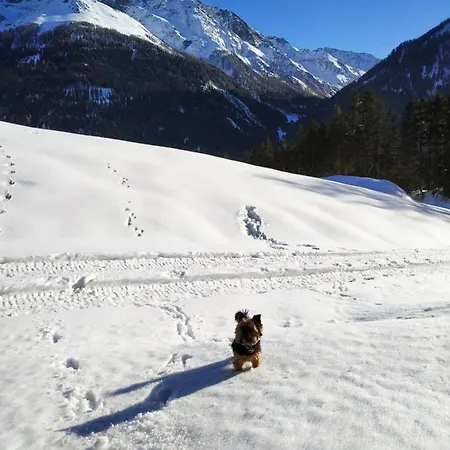 Haus Walch Pettneu am Arlberg
