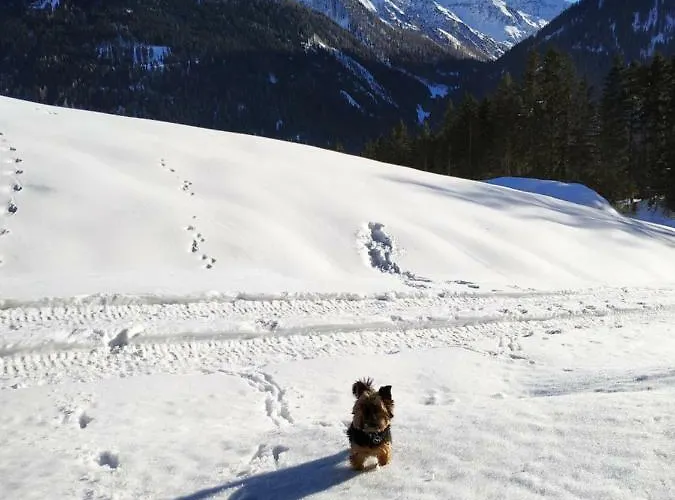 Haus Walch Pettneu am Arlberg